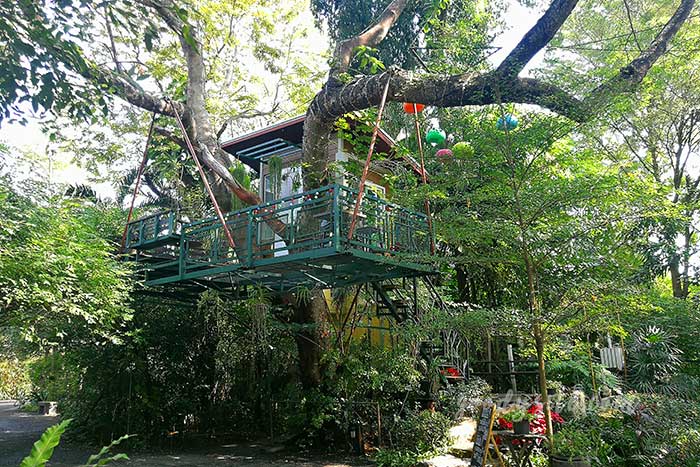 เดอะ ทรีเฮาส์ หนองจอก (The Tree house Nongchok)