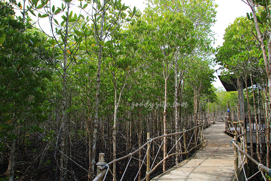 ตราด 4 หาดทรายดำ จังหวัดตราด