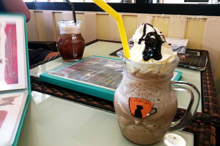 ไปเที่ยว Cat in Cafe