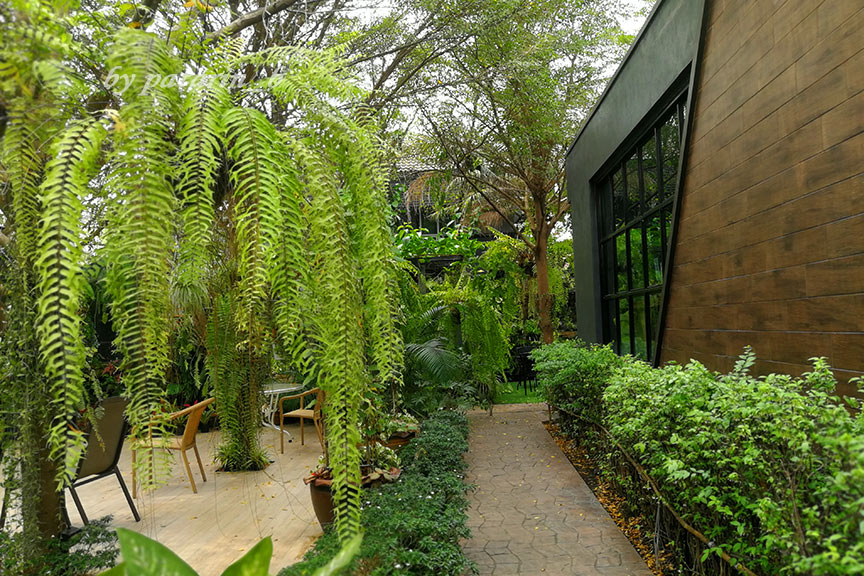 ร้านอาหาร Pata Plantation นนทบุรี