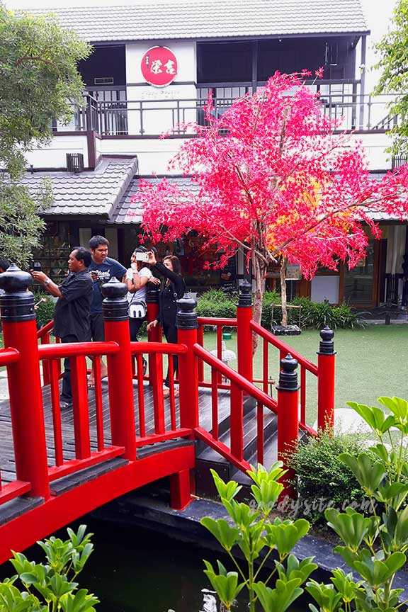 พัทยา-เกาะไผ่ 4: หมู่บ้านญี่ปุ่น เจพาร์ค ที่ศรีราชา