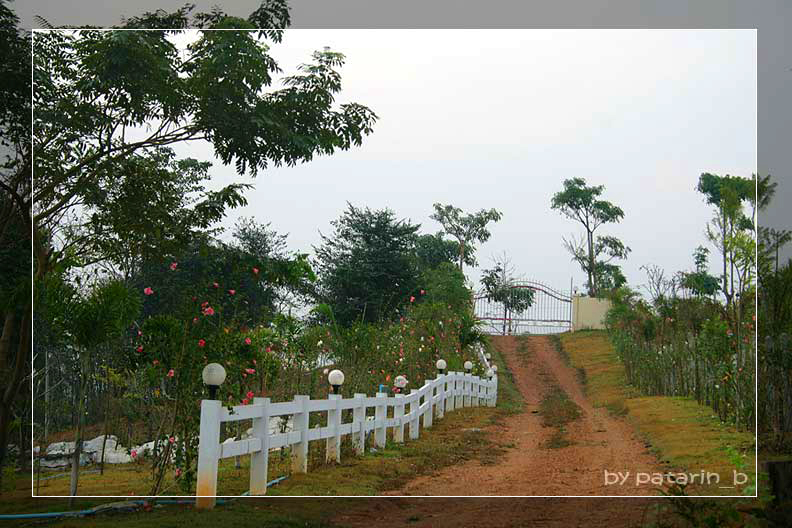 หนทางข้างหน้า