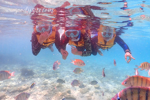 สัตหีบ 5 Snorkel - Under the Sea