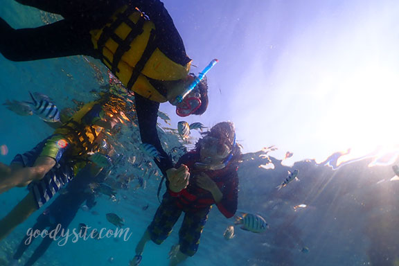 สัตหีบ 5 Snorkel - Under the Sea