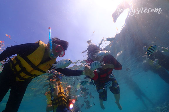 สัตหีบ 5 Snorkel - Under the Sea