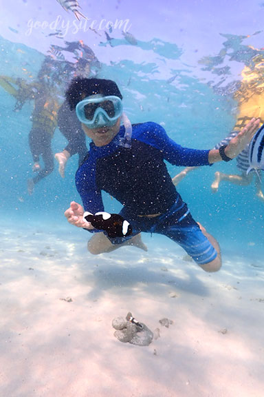 สัตหีบ 5 Snorkel - Under the Sea