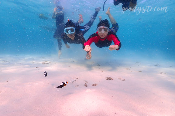 สัตหีบ 5 Snorkel - Under the Sea
