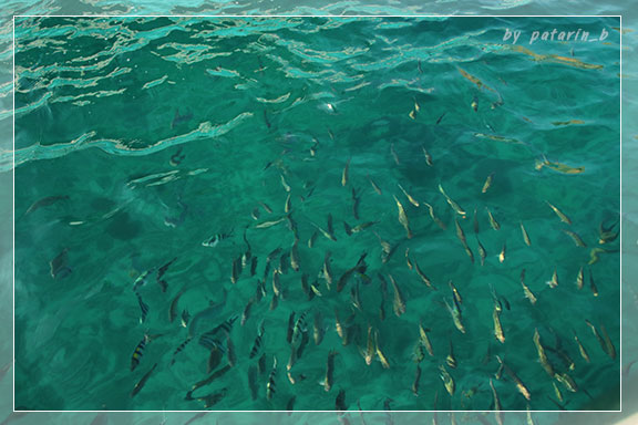 สัตหีบ 4 Snorkel - บนเรือ บนน้ำ