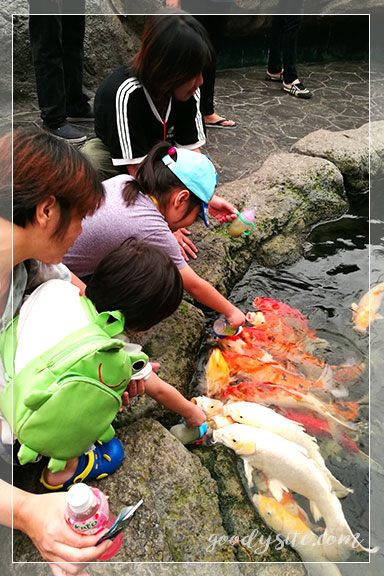 ชลบุรี 4 - Under Water World, Pattaya (อันเดอร์วอเตอร์เวิลด์ พัทยา)