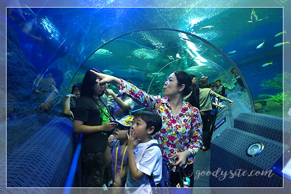 ชลบุรี 4 - Under Water World, Pattaya (อันเดอร์วอเตอร์เวิลด์ พัทยา)