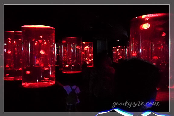 ชลบุรี 4 - Under Water World, Pattaya (อันเดอร์วอเตอร์เวิลด์ พัทยา)