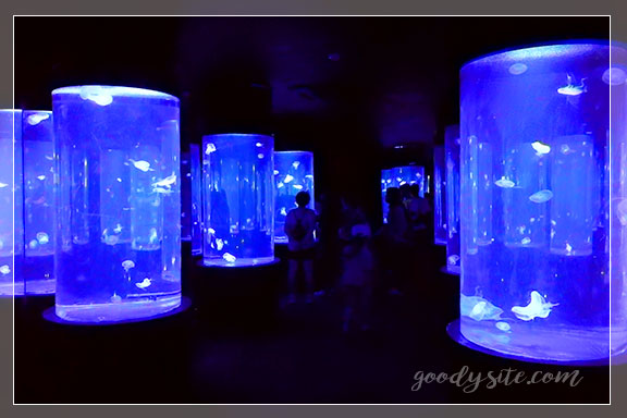 ชลบุรี 4 - Under Water World, Pattaya (อันเดอร์วอเตอร์เวิลด์ พัทยา)