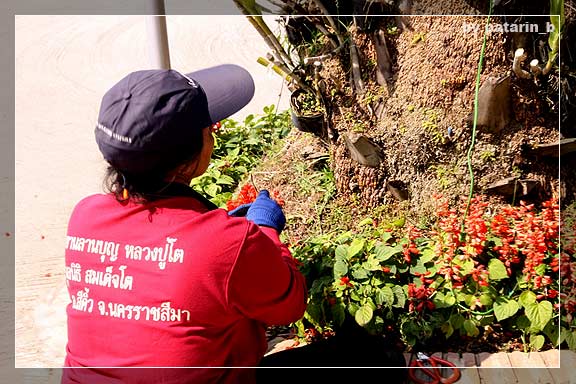 แวะรายทาง 4 - วัดสรพงษ์